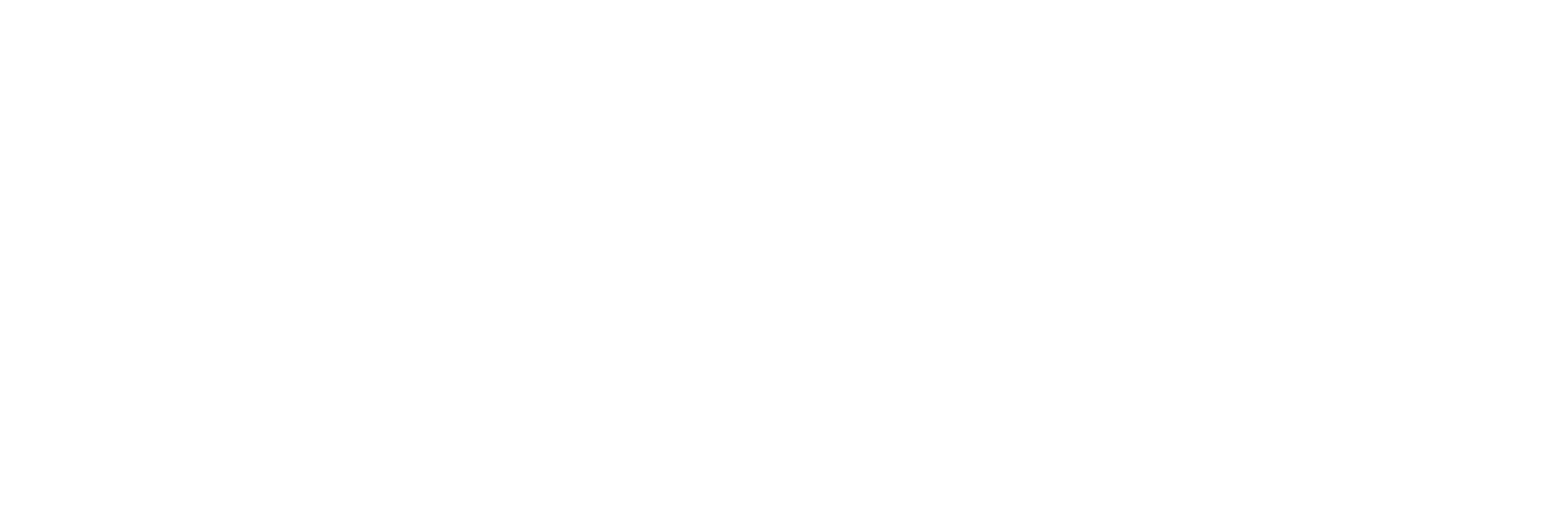 Netlogic Computer Consulting