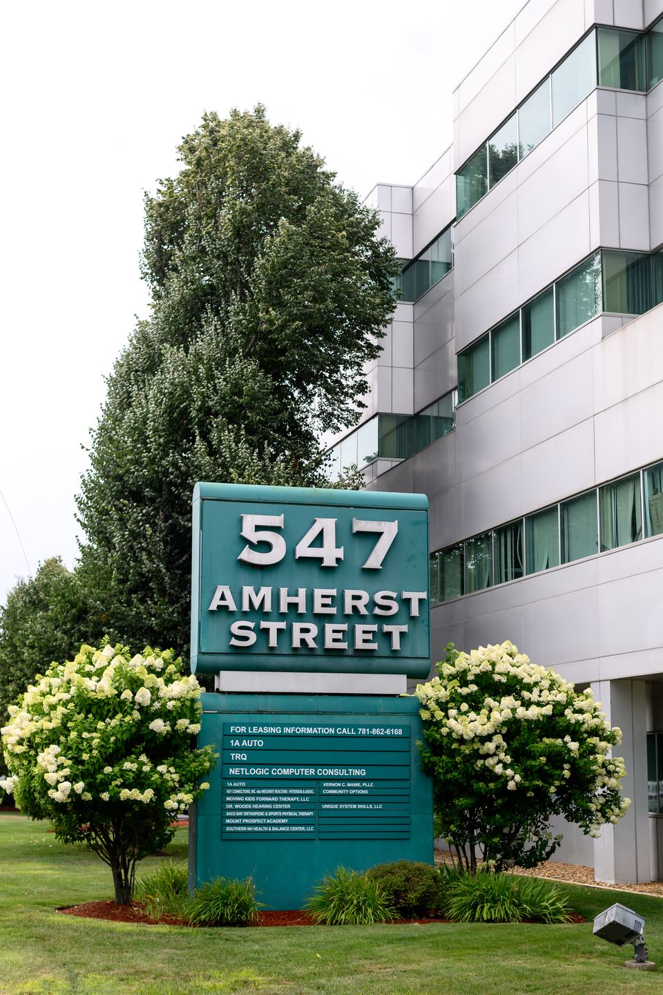 The 547 Amherst Street sign in Nashua, New Hampshire, listing Netlogic Computer Consulting among the building's tenants