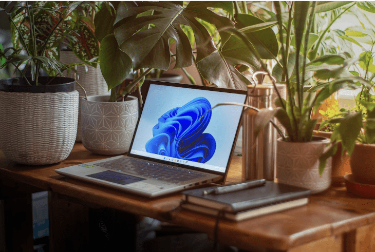 Laptop displaying Windows 11 on a wooden desk surrounded by indoor plants, creating a modern and natural home office workspace