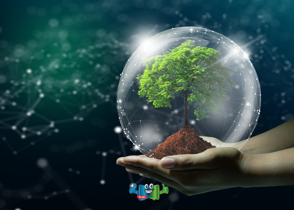 Hands holding a small tree enclosed in a transparent digital sphere.